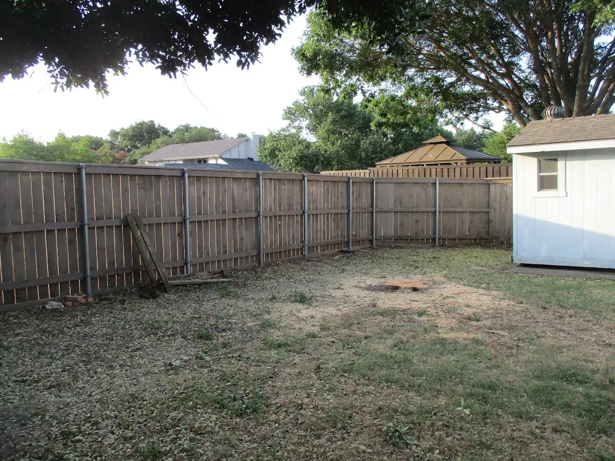 Cleared yard after professional tree removal in Sparkill